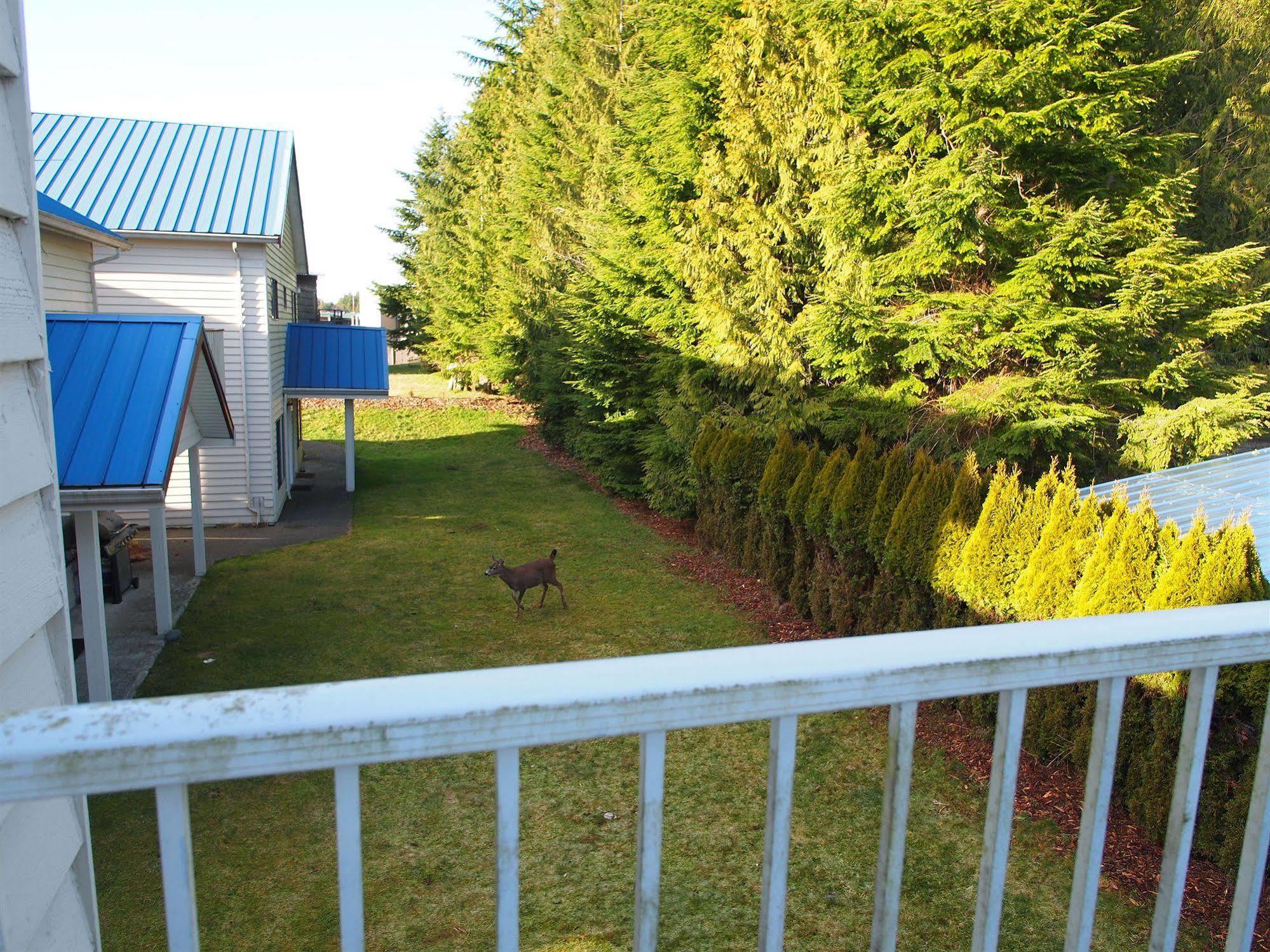 Whale'S Tail Guest Suites Ucluelet Zewnętrze zdjęcie